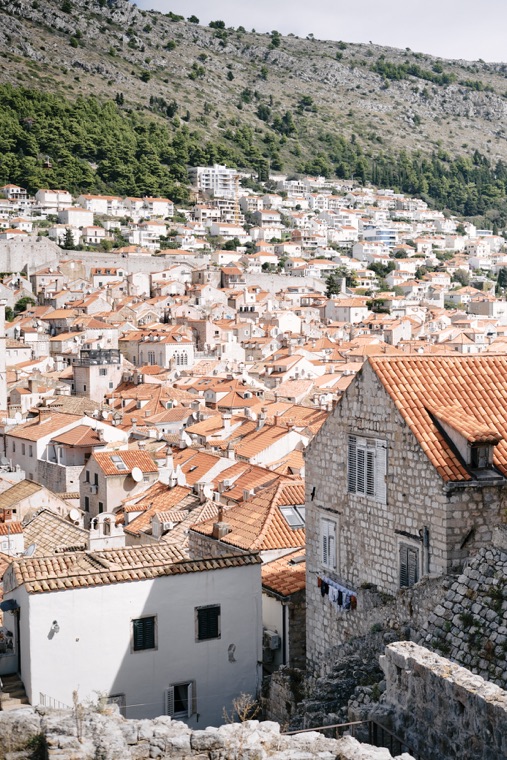Houses climbing the hillside above the old town
