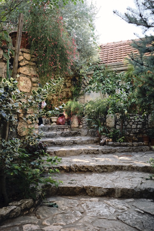 Stone steps through a green garden