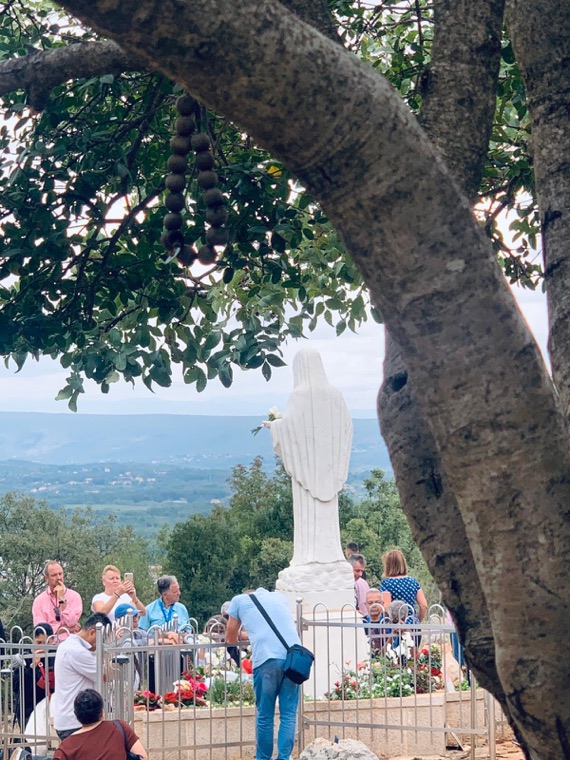 The statue of Our Lady on Apparition Hill, framed by a tree