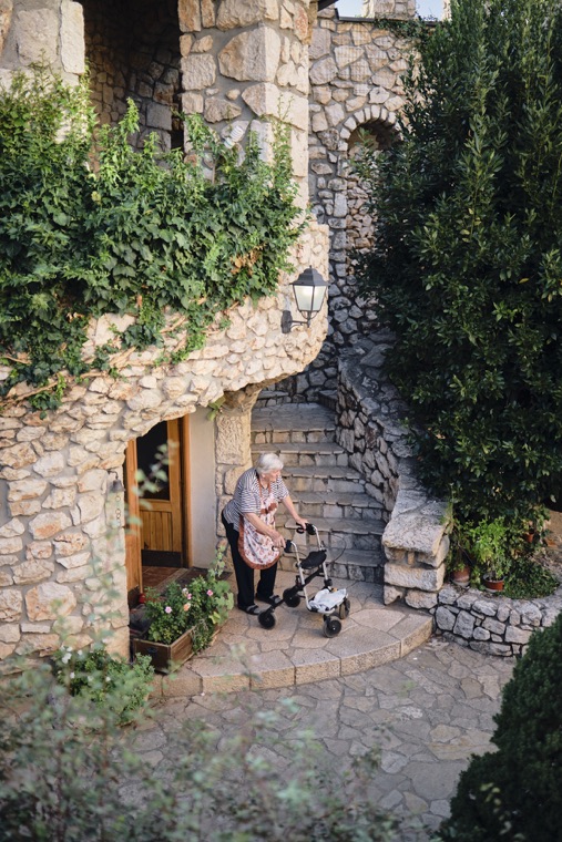 A stone stairway and garden