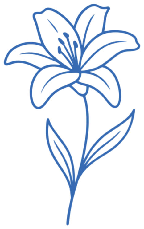 Drawing of a lily